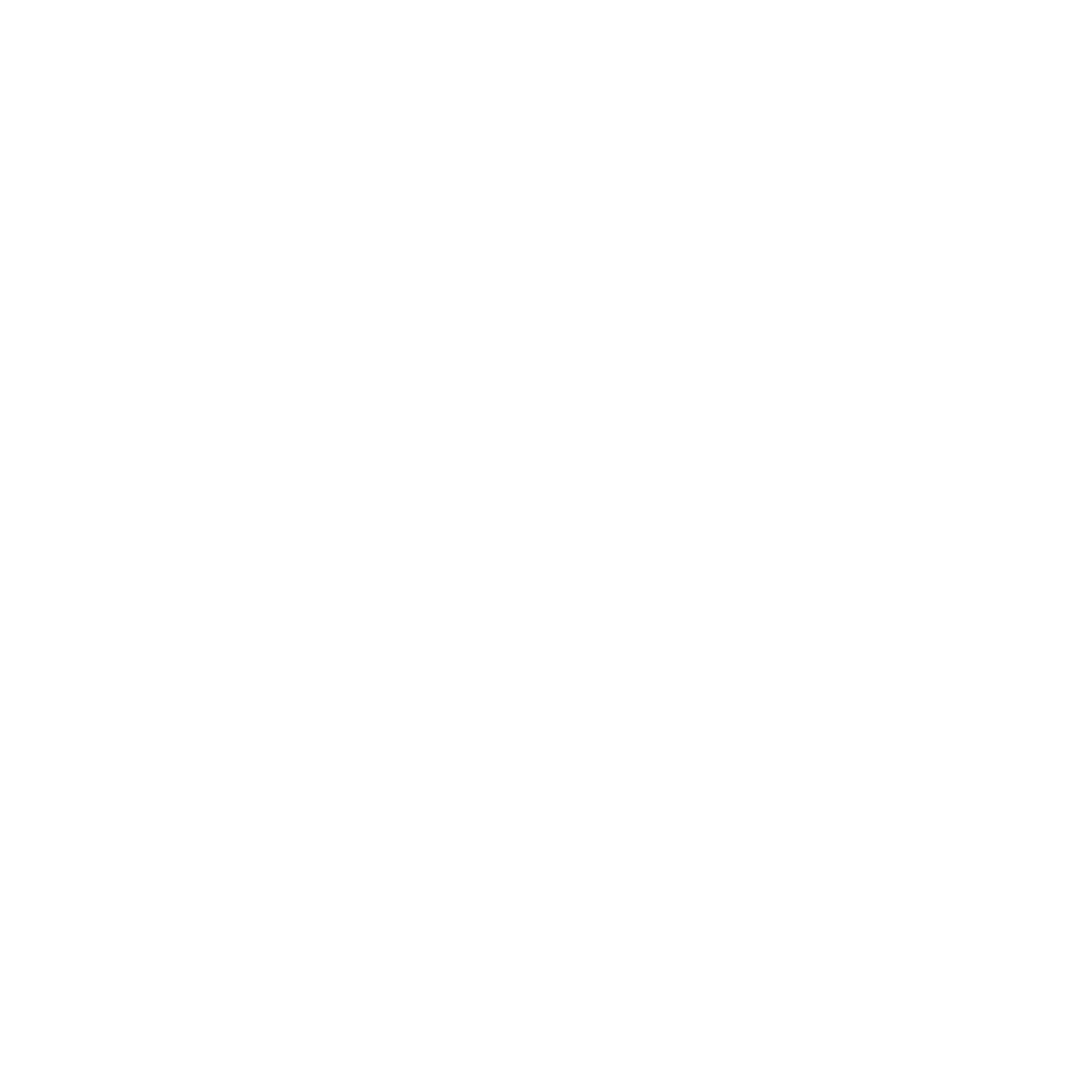 Brice